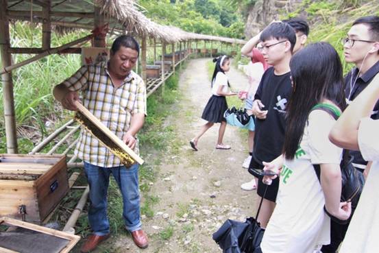 ”善行景宁乡,共圆畲汉梦“加拿大28开奖网
景宁梦之队-实地调研当地养蜂业